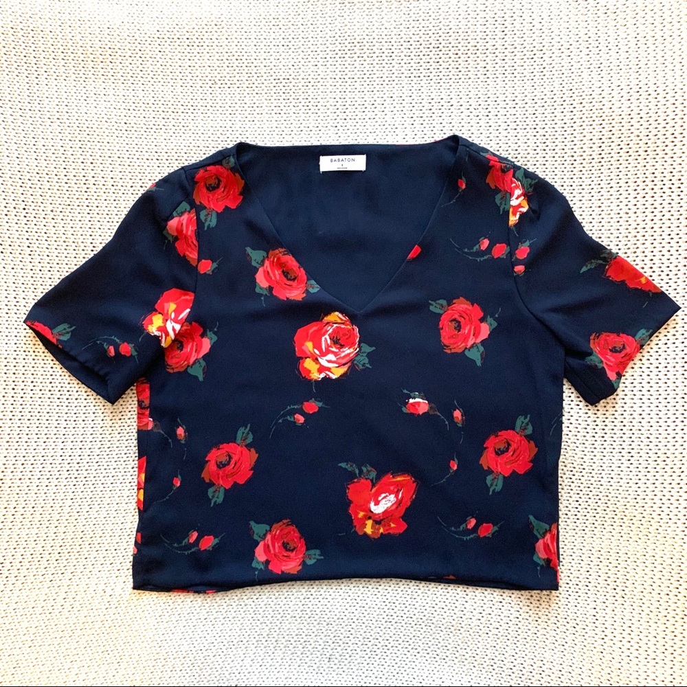 Aritzia (Babaton) top